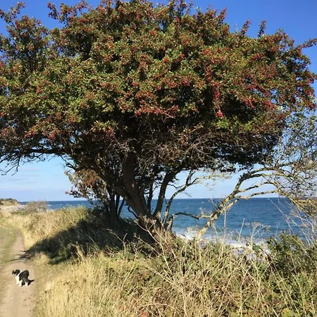 Apartmán Annis View Burgtiefe auf Fehmarn